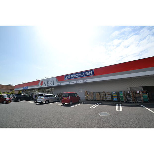ドラッグストアセキ向陽町店