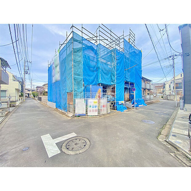 2月27日撮影/現地全景