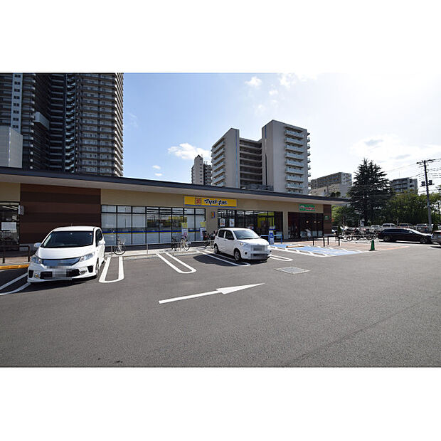 マツモトキヨシ