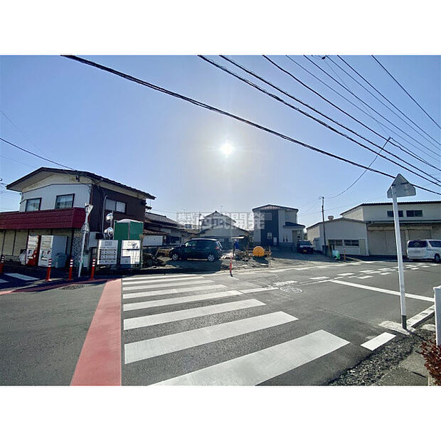 3月5日撮影