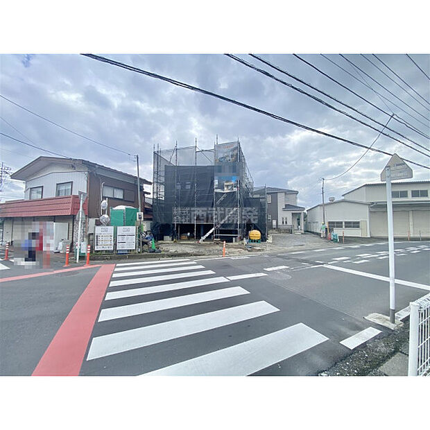 6月29日撮影