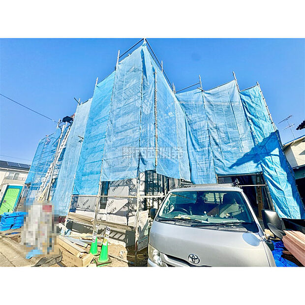 2月13日撮影/現地全体