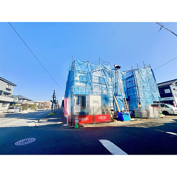 2月13日撮影/現地全体