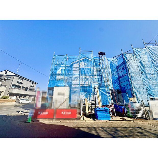 2月13日撮影/現地全体