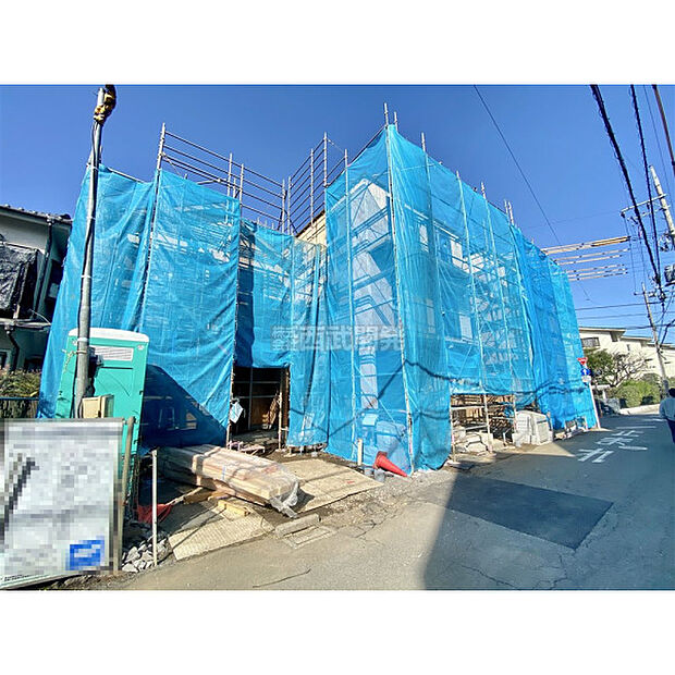 現地全体/3月5日撮影