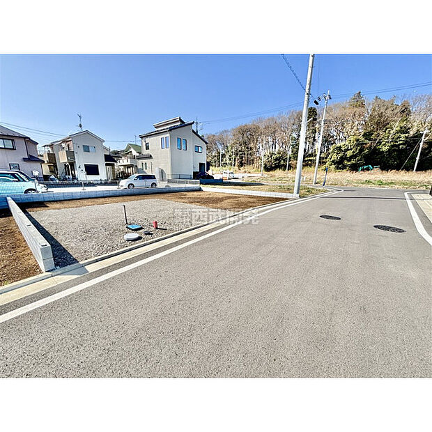 3月5日撮影