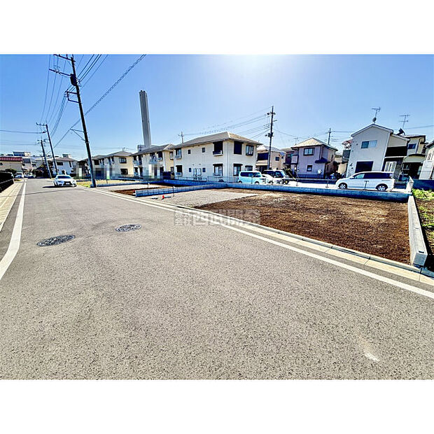 3月5日撮影/現地全景