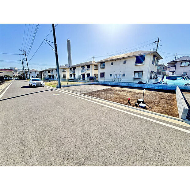 3月5日撮影