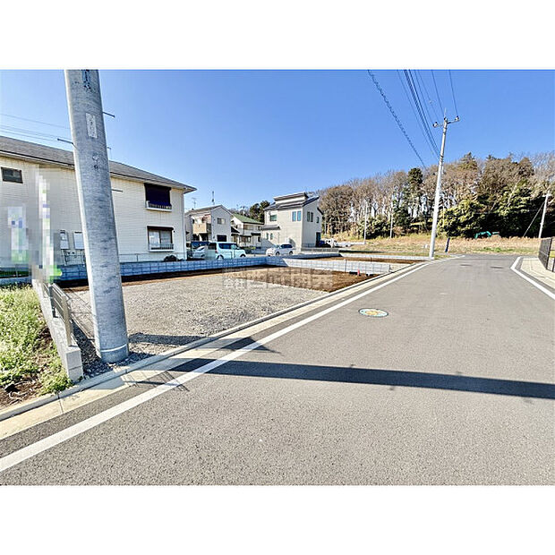 3月5日撮影/現地全景