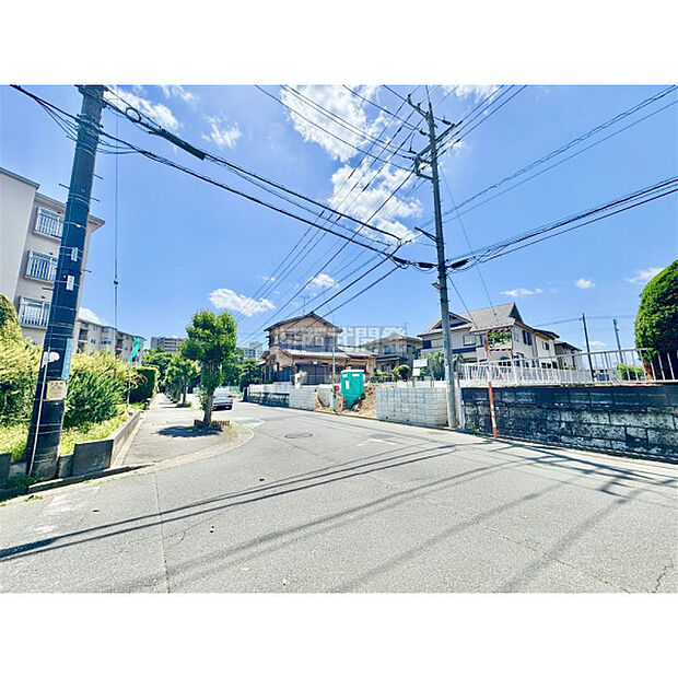 5月11日撮影/現地全景
