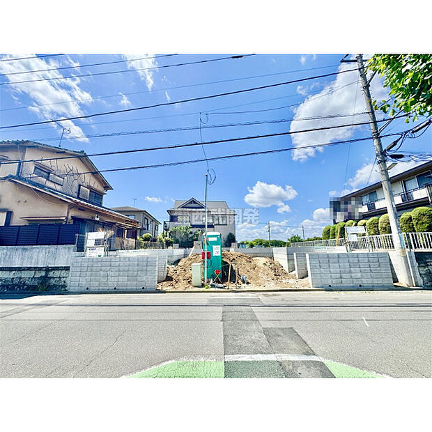 5月11日撮影/現地全景