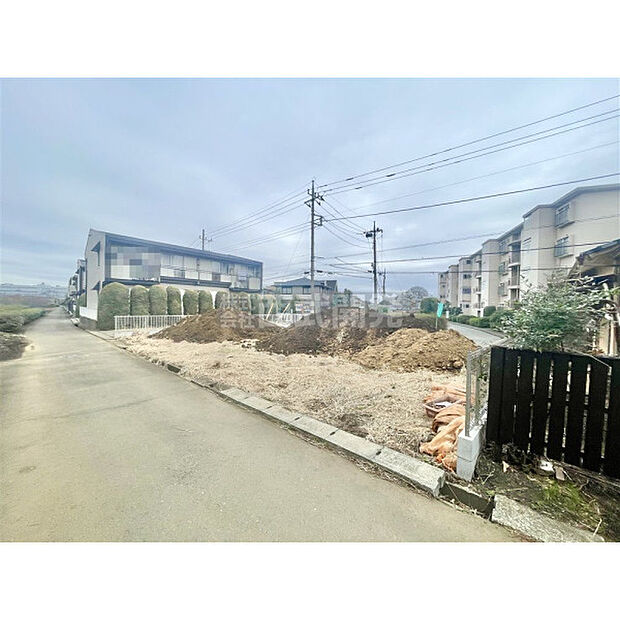 2026年3月6日撮影/現地全景