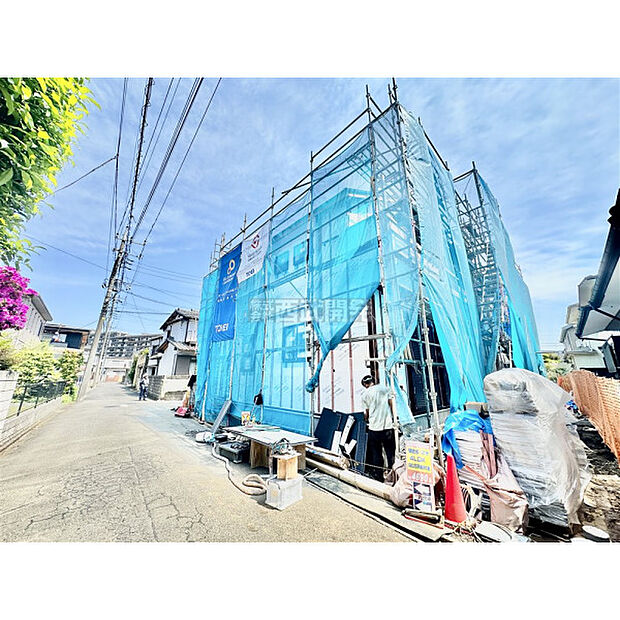 5月2日撮影/現地全体