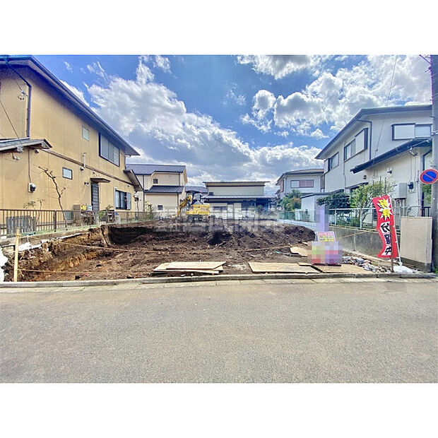 3月27日撮影/現地全体