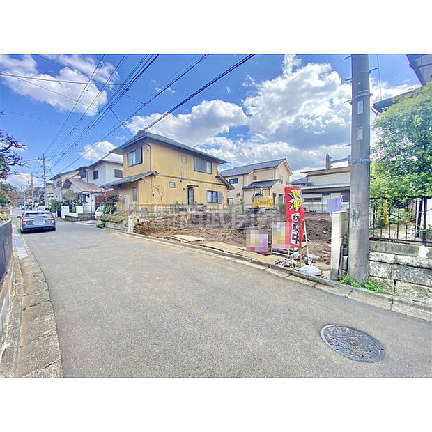 3月27日撮影/現地全体