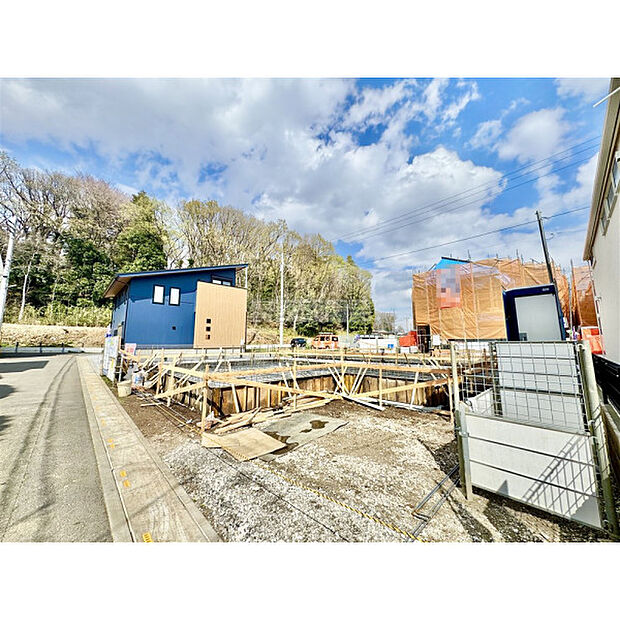 3月27日撮影/現地全体