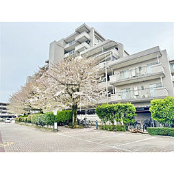 エステ・スクエア武蔵藤沢