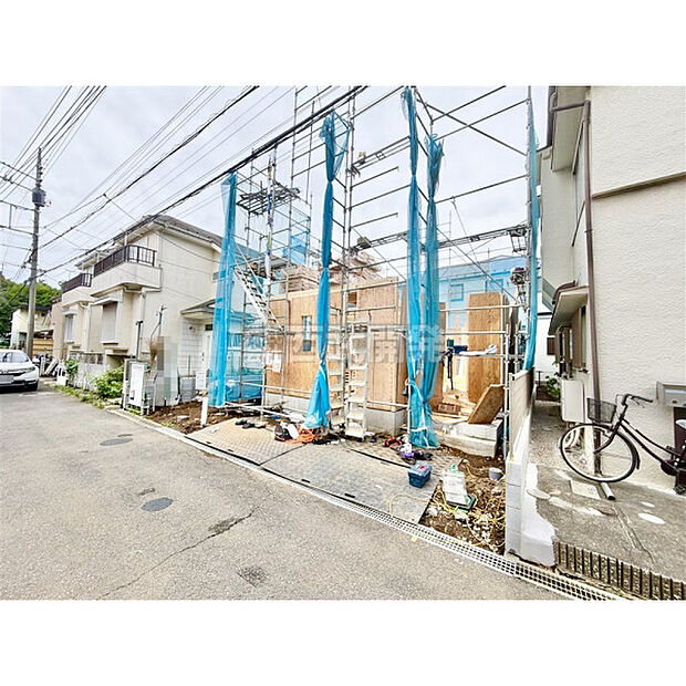 6月22日撮影
