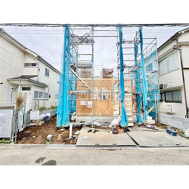 6月22日撮影