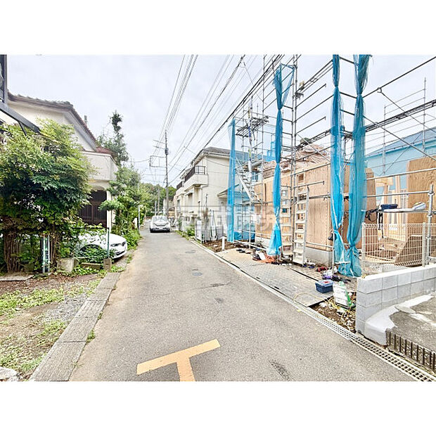 6月22日撮影