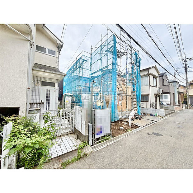 6月22日撮影