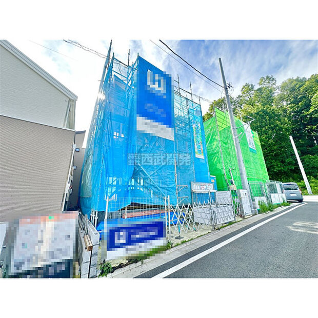 6月18日撮影