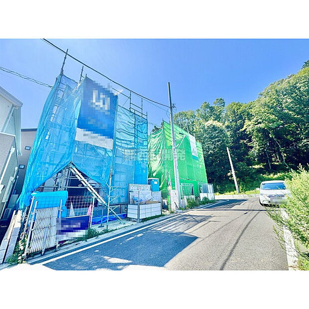 7月10日撮影