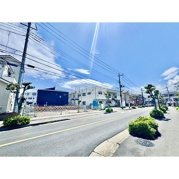 2026年5月4日撮影/現地全景