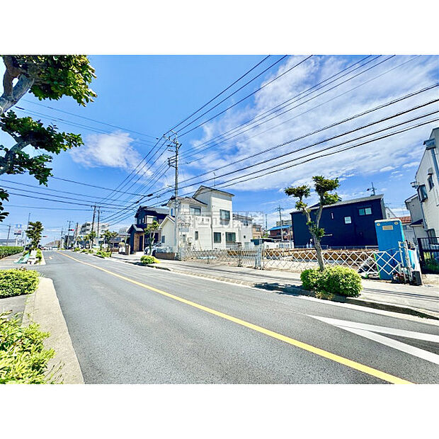 2026年5月4日撮影/現地全景