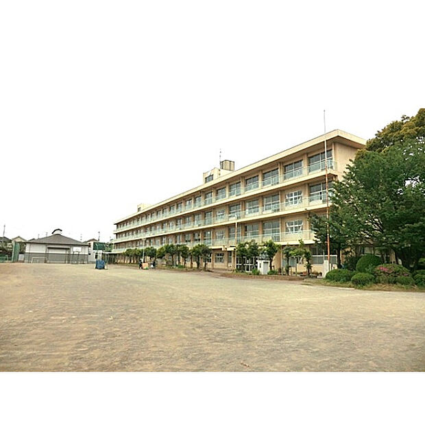 向陽中学校