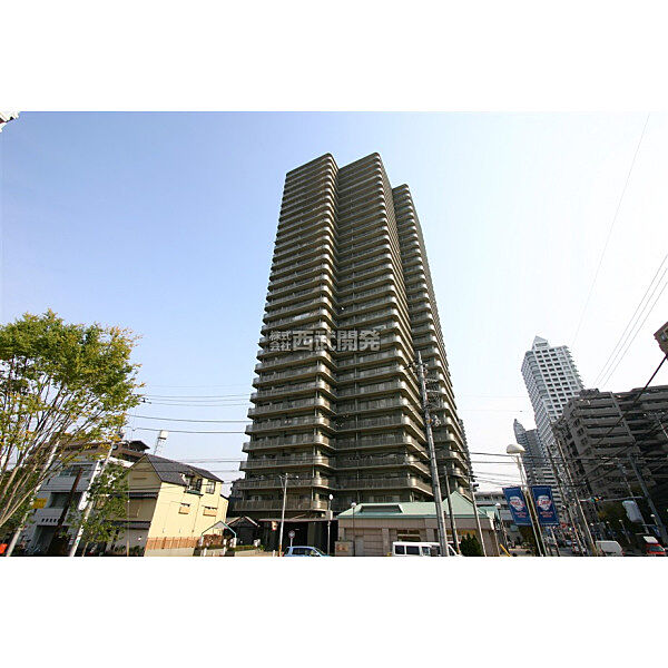外観：311002396541