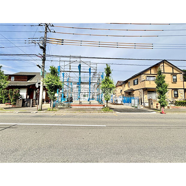 6月11日撮影