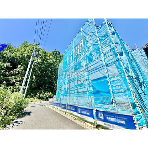 7月10日撮影