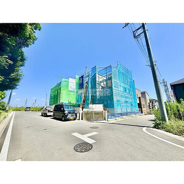 7月10日撮影
