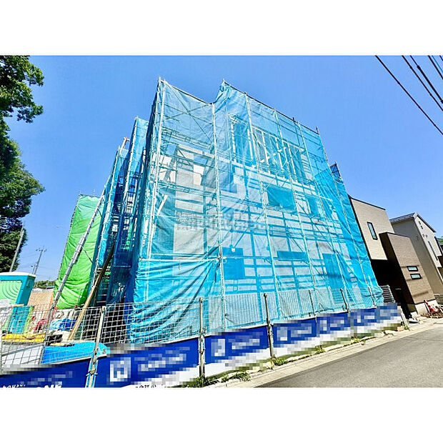7月10日撮影