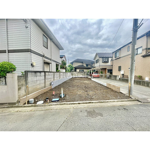 6月5日撮影