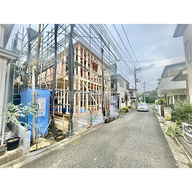 7月17日撮影