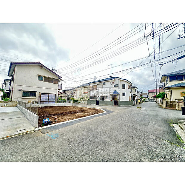 6月22日撮影