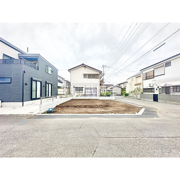 6月22日撮影