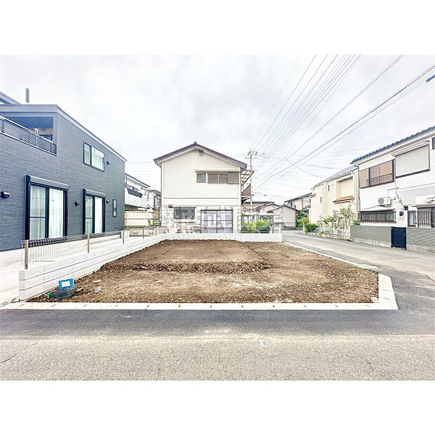 6月22日撮影