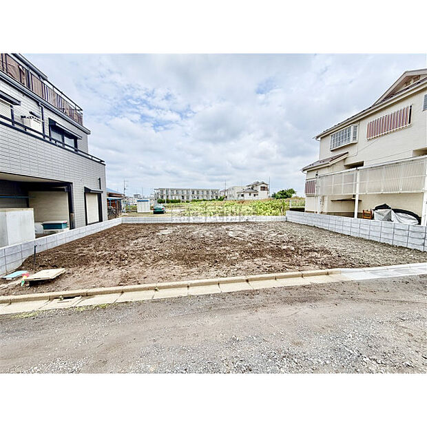 6月29日撮影