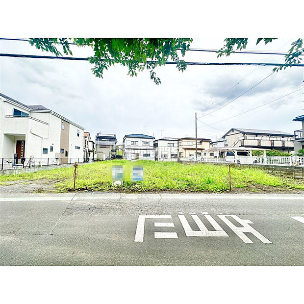 6月22日撮影/現地全景