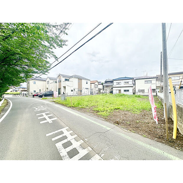 6月22日撮影/現地全景
