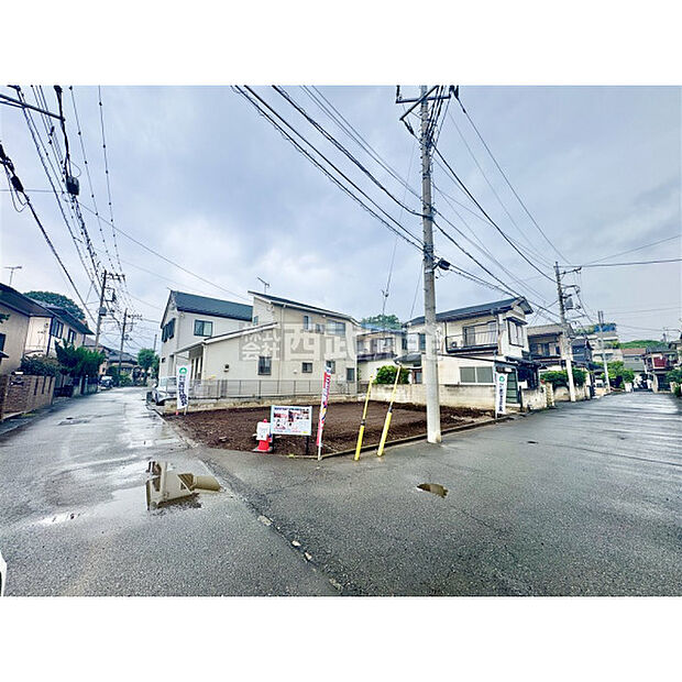 7月17日撮影