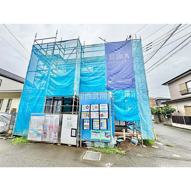 9月11日撮影