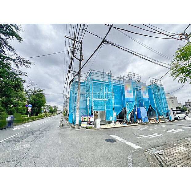 6月29日撮影/現地全景