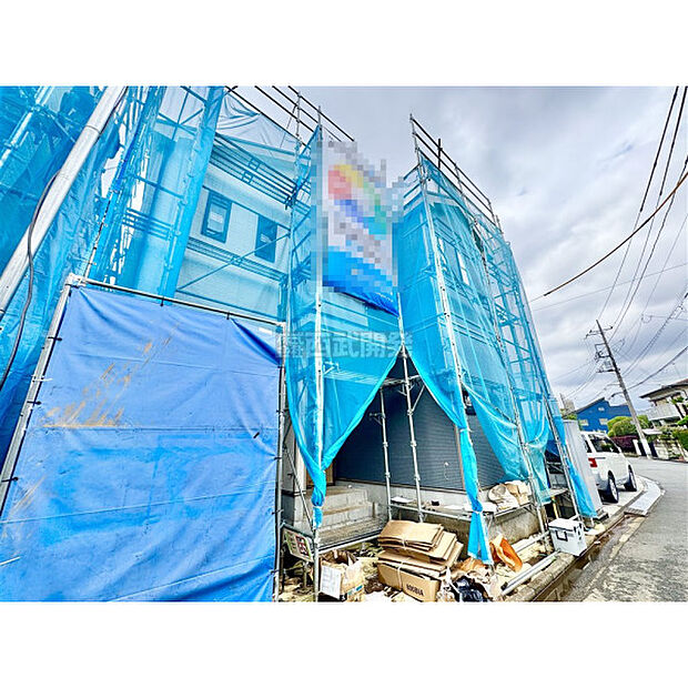 6月29日撮影/現地全景