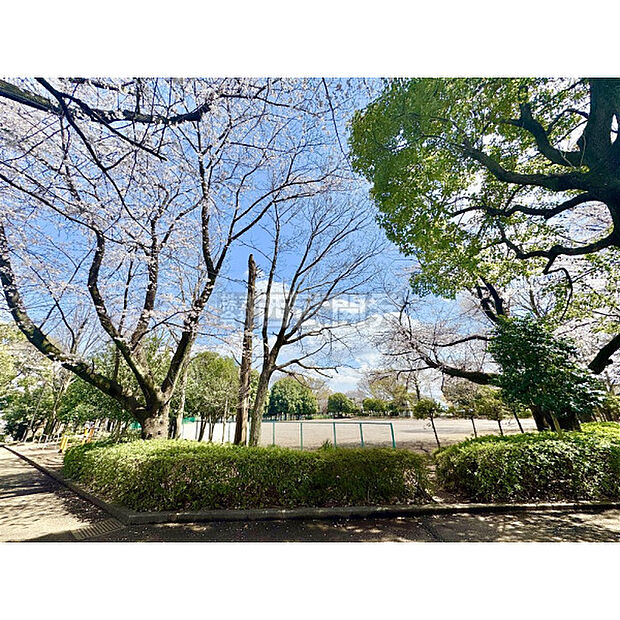 亀ヶ谷公園