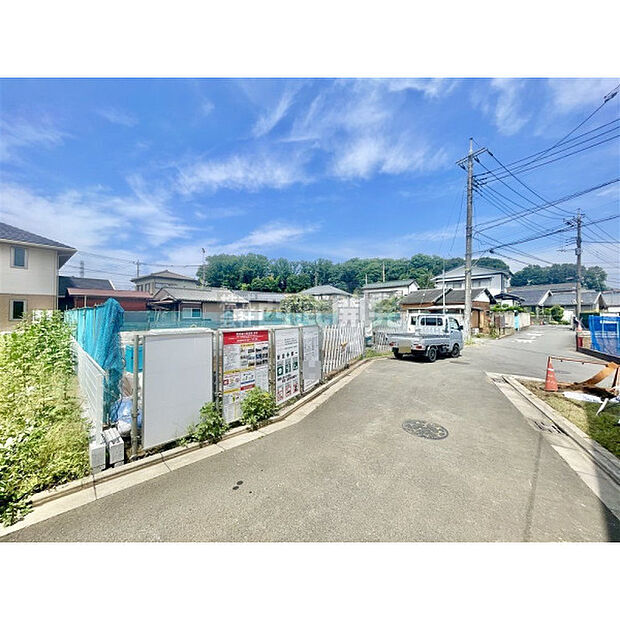 7月31日撮影/全体