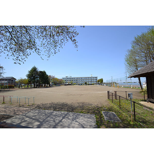 中富小学校